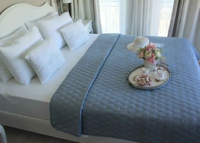 Отель Eritrina 2*