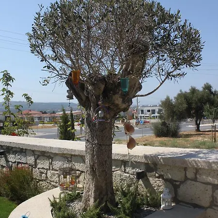 Eritrina Otel 2*